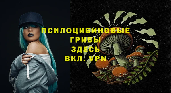 тгк Арсеньев